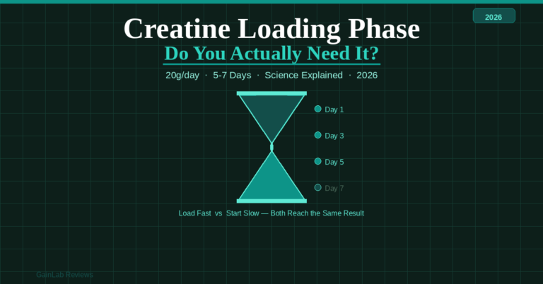 creatine loading phase guide