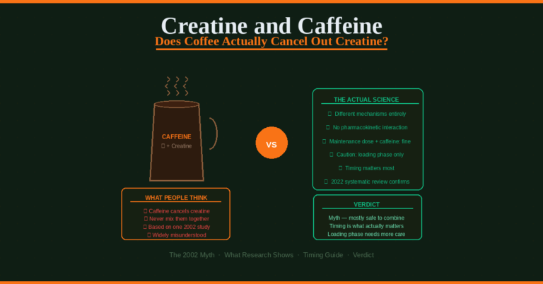 creatine and caffeine does coffee cancel out creatine myth vs science 2026