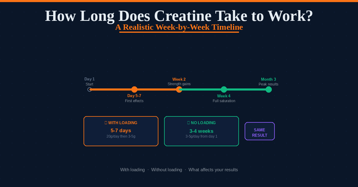 how long does creatine take to work week by week timeline 2026